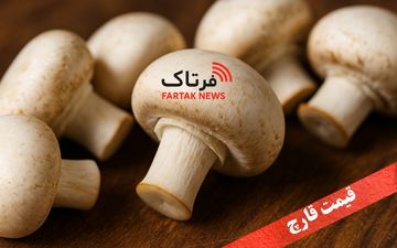 قیمت قارچ امروز یکشنبه ۱۲ بهمن ۱۴۰۴ + جدول قیمت