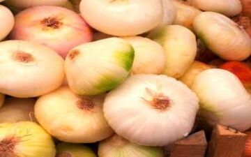 آشنایی با گیاه موسیر