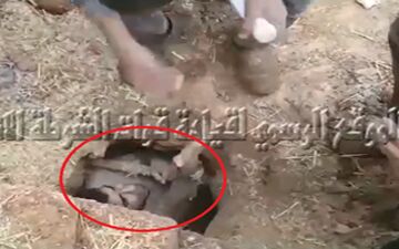 لحظه لو رفتن داعشی که مدت‌ها مخفیانه زیر خاک زندگی می‌کرد +فیلم 