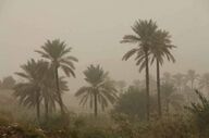 قصرشیرین رکورددار آلودگی هوا با ۹۱ روز ناسالم در سال گذشته/۱۲۳ واحد صنعتی زیر ذره‌بین محیط زیست کرمانشاه



