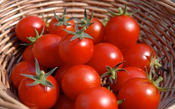 گوجه فرنگی؛جایگزینی برای آسپرین