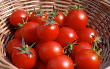 گوجه فرنگی؛جایگزینی برای آسپرین