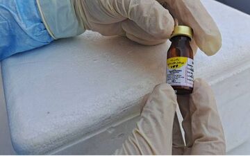 اجرای واکسیناسیون رایگان طیور بومی کرمانشاه علیه نیوکاسل