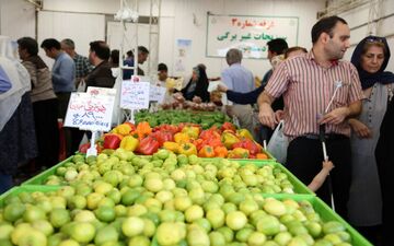 
قیمت انواع میوه در نیمه پاییز
