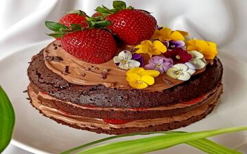 آموزش  کیک خیس بدون شکر | این کیک برای تمام سلیقه ها عالیه!