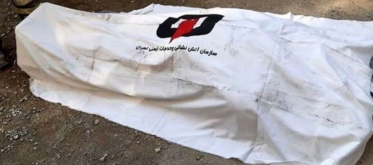 سوئیچ مرگ در دست کودک؛ پژوی دختر ۱۱ ساله قاتل پاکبان مهابادی شد
