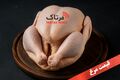 قیمت مرغ امروز ۱۱ مرداد ۱۴۰۵؛ جدیدترین نرخ مرغ، فیله و تخم‌مرغ