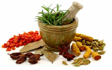 آیا با داروی گیاهی می توان مو را تقویت کرد؟