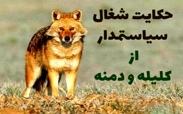 حکایت خواندنی و آموزنده شغال سیاستمدار از کتاب کلیله و دمنه
