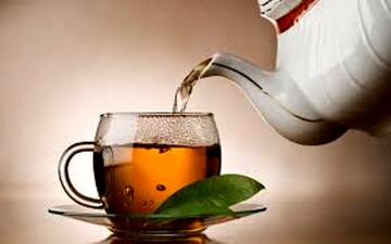 گیاهی معجزه‌گر در درمان تب و سرفه
