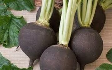  چگونه با گیاهان دارویی سنگ مثانه را درمان کنیم