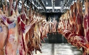 قیمت گوشت گوسفندی و گوساله امروز جمعه 3 مرداد