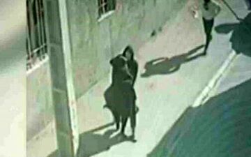 جزئیات جدید زورگیری از دانشجویان خواجه نصیر / نبود کیوسک پلیس از علت های این اتفاق