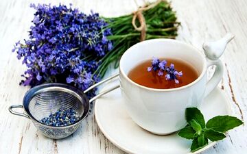 اسطوخودوس ؛ داروی گیاهی اعجاب آور/ بهترین درمان روح و روان