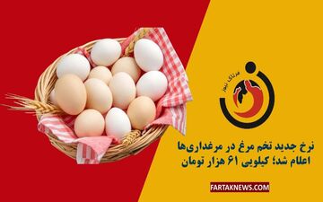 قیمت تخم‌مرغ امروز ۲۷ خرداد ۱۴۰۴ | نرخ‌های جدید بازار + جدول

