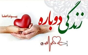 اعضای بیمار مرگ مغزی گچسارانی اهدا شد