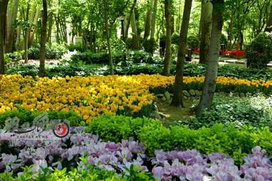  باغ ایرانی
