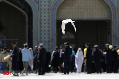 حرم مطهر امام رضا (ع) ساعاتی پیش از سخنرانی رهبر معظم انقلاب + تصاویر