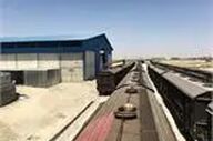 افزایش تولید داخلی جو، کاهش ۴۰ درصدی واردات را به همراه دارد