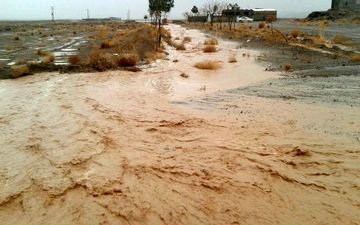 بارندگی در خراسان جنوبی موجب آبگرفتگی معابر شد