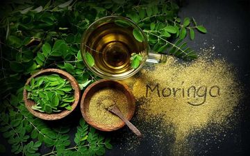روش‌های مصرف مورینگا | از کجا مورینگا بخریم؟

