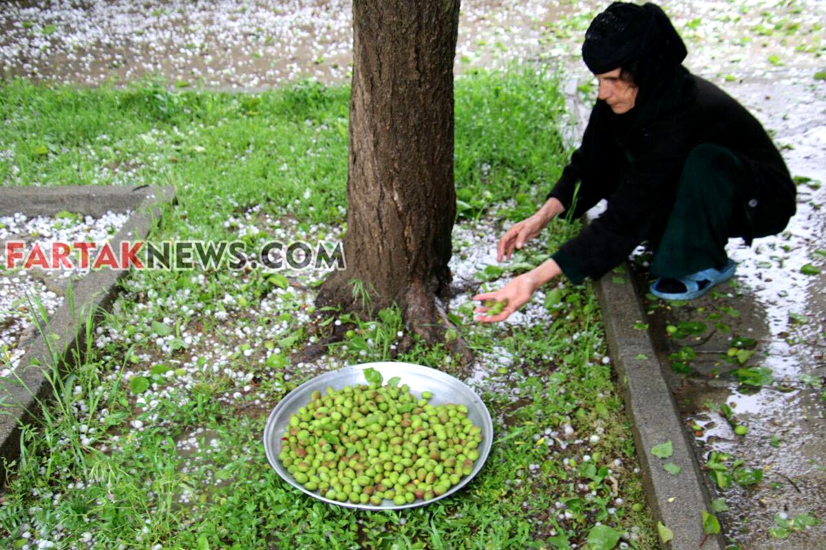 تگرگ در گهواره