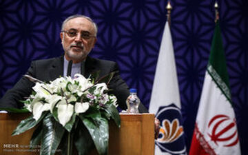 صالحی: از گردنه ترامپ عبور می کنیم