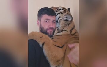 دوستی عجیب و باورنکردنی یک انسان با ببر + ویدئو