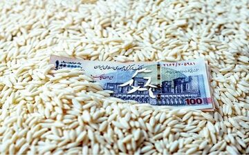 قیمت برنج پاکستانی ۱۹ مهر ۱۴۰۴؛ نرخ درجه‌یک اعلام شد + جدول