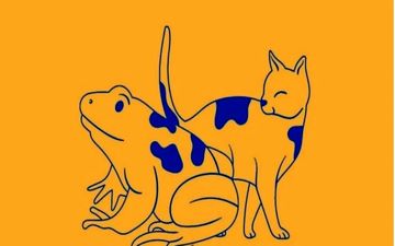 دریچه‌ای به سوی دنیای درون: تست شخصیت شناسی با تصاویر