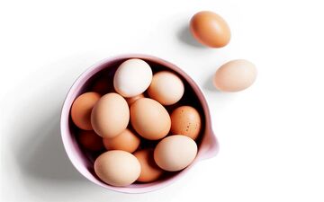 چگونه تخم مرغ سالم را تشخیص دهیم؟