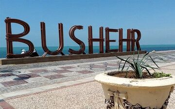 پرش زیبای نهنگ در ساحل بوشهر + فیلم
