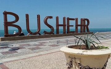 پرش زیبای نهنگ در ساحل بوشهر + فیلم