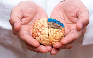 شاید باور نکنید اما این علامت نشانه‌ اولیه آلزایمر است