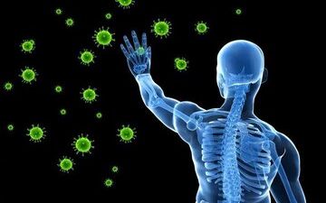 بهترین مواد غذایی برای افزایش سیستم ایمنی بدن کدامند؟


