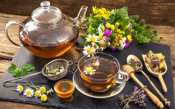 دمنوش‌ها جایگزین دارو می شوند؟