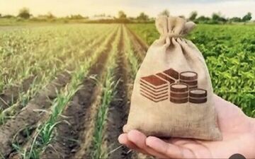 خراسان شمالی؛ پرداخت ۴ هزار میلیارد ریال غرامت بیمه محصولات کشاورزی به بهره‌برداران