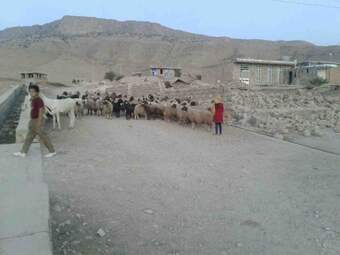 photo_1 (21)