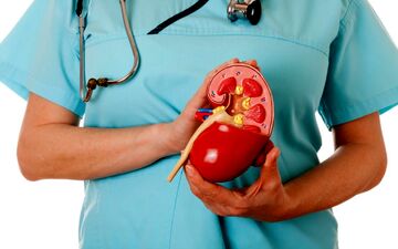 5 راه سالم نگه داشتن کلیه