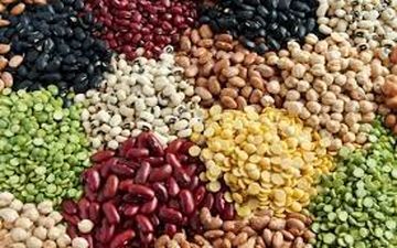 حبوبات چراغ خاموش گران شد 