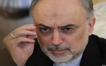 صالحی: درصورت نقض برجام تمام گزینه ها روی میز است