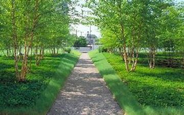 بوستان‌های جدیدی درحال احداث است
