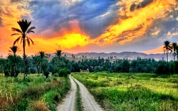 گردشگران خارجی کدام استانهای ایران را برای سفر انتخاب میکنند؟ 