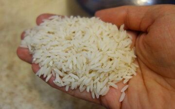 کشف انبار بسته‌بندی غیرمجاز برنج در کرمانشاه/ ۶ تن برنج نامرغوب با برندهای جعلی کشف شد



