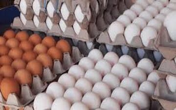 
علت دو نرخی بودن تخم مرغ در بازار چیست؟
