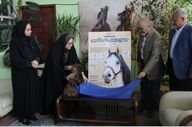 رونمایی از پوستر جشنواره زیبایی اسب کاسپین در انزلی