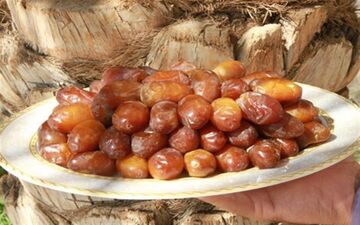  صادرات خرما ممنوع شد