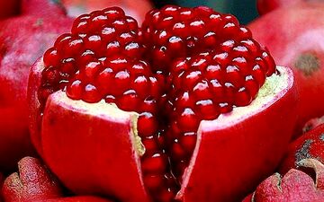  تنظیم فشار خون با انار