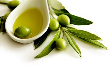 کاهش کلسترول و تقویت سیستم ایمنی و کمک به سلامت پوست با برگ درخت زیتون