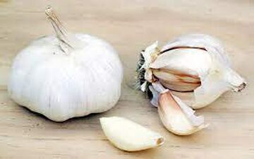  خوردن سیر با معده خالی ضرر دارد؟